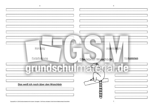 Waschbär-Faltbuch-vierseitig-2.pdf